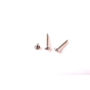 China Manufacturing Various Micro Screw flat head Self-Tapping Screw for Camera