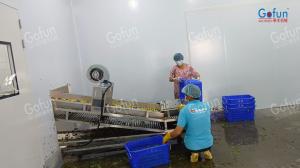 China NFC juice puree production line aseptic filling EU certification factory