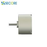 Φ22mm Mini Bldc Brushless Motor 5000rpm With Pwm Speed Regulation