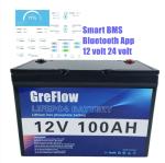 Bluetooth APP Lifepo4 Battery 12v 100ah RV Boat Deep Cycle Storage Battery