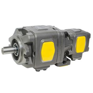 HG Series Double Gear Pump Hydraulic Internal Gear Pump HG10 HG11 HG21 HG22