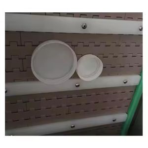 Automatic High Speed Bottle Cap Sorting Machine