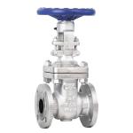 Carbon Steel Stainless Steel Valve DN15~DN1200 Flanged Rising Stem Gate Valve