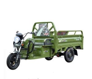 China ChineseTricycleFactory2500*1000Size And Open Body Type Motor Electric Carry Cargo Rickshaw Electric Tricycle factory
