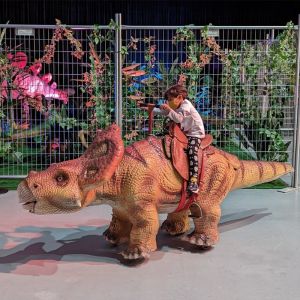 Electric Walking Dinosaur Ride Animatronic Triceratops Dinosaurs Ride for
