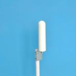 1710 - 2700 MHz 5dbi 3G 4G LTE WLAN Omni directional Antenna