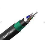 24 Core PE Sheath Direct Buried Fiber Optic Cable GYFTZY53
