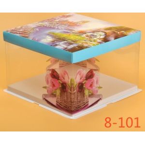 Disposable Clear/transparent Sandwich/cake Plastic Food Container/box/packaging