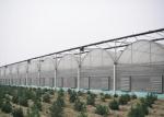 Hot Galvanized Frame Dome Lettuces Plastic Cover Greenhouse