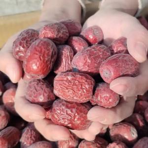 China Tonify Qi Chinese Dried Red Dates Natural Chinese Dried Jujube factory
