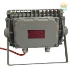 100W Flame Proof Flood Light Hazardous Location Industrial Boat Stadium Marine