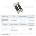 Flexible Double Bellows Expansion Joint Flange Connection ZCH
