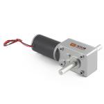 Faradyi Customized 12V 24V 5RPM 16RPM Electric Brushless Mini Dc Worm Gear
