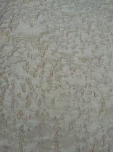 China Sliced Natural Birds Eye Maple Wood Veneer Sheet factory