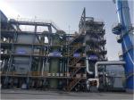 Clinical Waste Incineration High Temperature Hazardous Waste Incineration