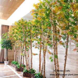 China Indoor Simulation Birch Tree Autumn Maple Leaves Show Window Screen Decoration factory
