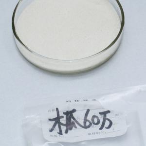 China Gluten Protease 2400000U/G For Flour Gluten Reduction Bread Baking Production factory