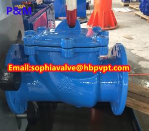 China DN200 PN16 GGG50 DIN swing check valve factory