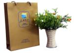 Hot Stamp 230gsm UV Logo Paper Carrier Bag Matt Lamination for advertising