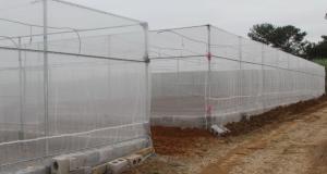 China Custom Color Insect Mesh Netting For Greenhouse High Tensile Strength factory