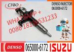 Diesel Fuel Injector 065000-6172 095000-6173 095000-6990 095000-6991 8-98055863