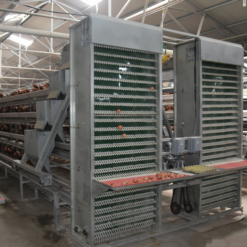 H Frame Hot Dip Galvanized Egg Laying Hens 10000 Birds Chicken Egg Layer Cage