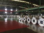 High Strength Tin Free Steel , Abrasion Resistant Steel Prevent Corrosion Rust