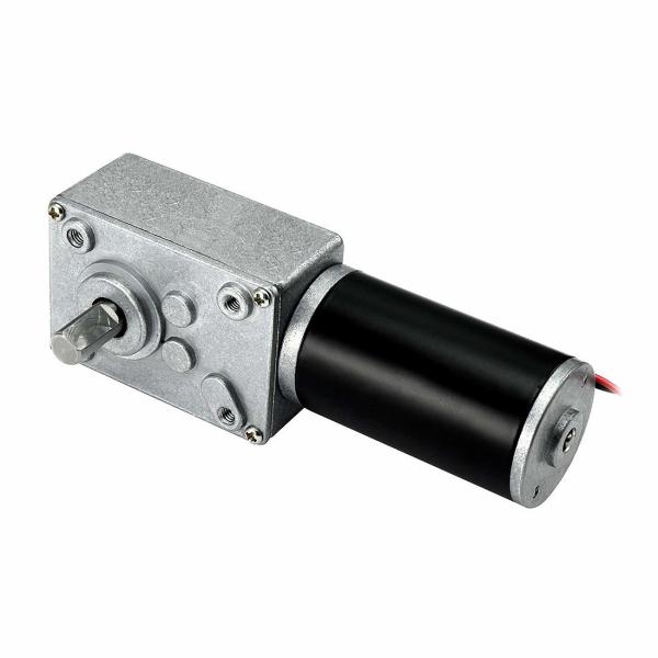 Faradyi Custom 12v 24v High Torque Electric Motor With Worm Gearbox For Home