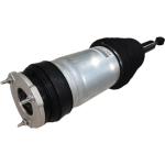 W309255002 Rear Air Suspension Spring Shock Absorber 1027461-00-G For Tesla