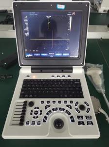 China 3D 4D Echography Portable USG Machine For Gynecology Eco factory