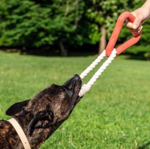 China Best Interactive Knotted Rope Triangle Tug Training Toysfor Large Dogs factory