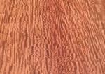 0.5m-2m / 2cm-2.44m / 2.45m-3.6m Length Burma padauk Natural Wood Veneer