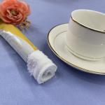 Travel Plain 100 Percent Cotton wet Towels