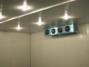 China 2.0mm Checker Plate Cold Storage Chiller Recessed curved corner meat cold room factory