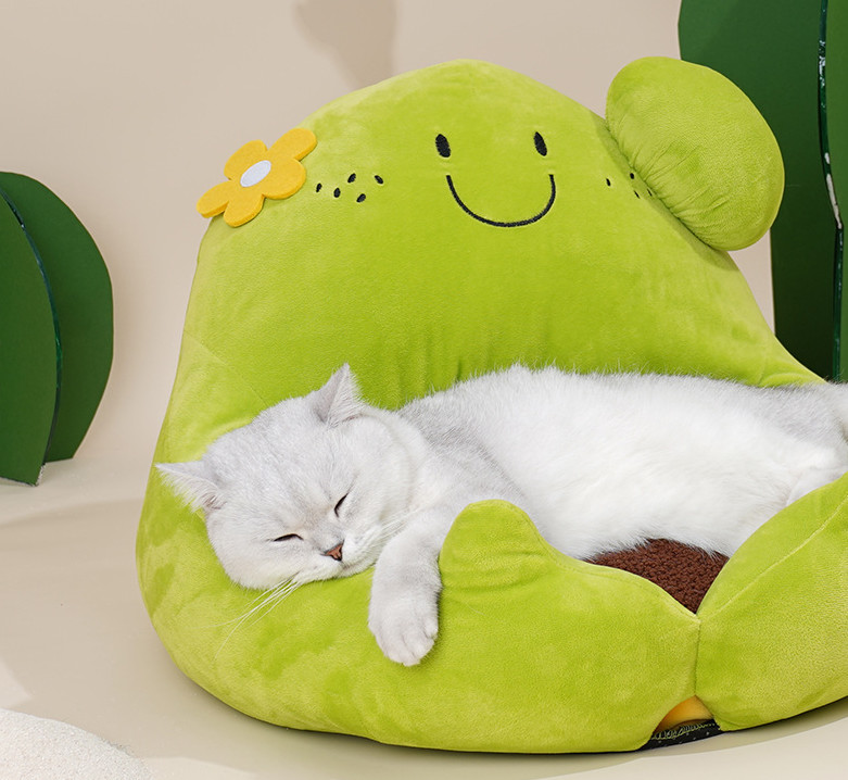 cute kitten beds