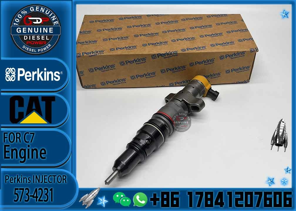 Diesel Engine Parts Common Rail Fuel Injector 573-4231 for CAT C9 330D 340D 336D Excavator CNDIP Factory price