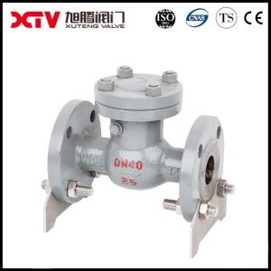 China Metal Seal Stainless Steel 304/316L Flanged Swing Check Valve for Pump System Model on sale