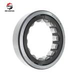 RNU203714 Cylindrical Roller Bearing without Inner Ring 20x37x14mm