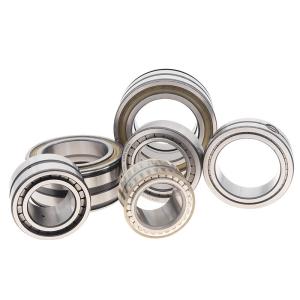 China SL18 Combined Roller Bearing Full Complement Gcr15 Double Row Cylindrical Roller Bearings factory