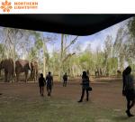 Interactive Experience Naked Eye Virtual 3d Indoor Immersive Exhibition