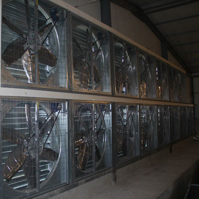 Hot Dipped Galvanized H Type Poultry Cage , Running Feeder Chicken Wire Cage