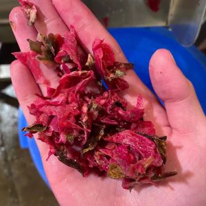 Dual Channel 3T/H Pitaya Deseed Pulping Machine SUS304 Material