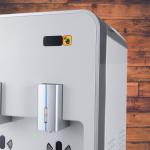 UV Painted Spring Water Dispenser 605W 106T-GS R134a Floor Standing