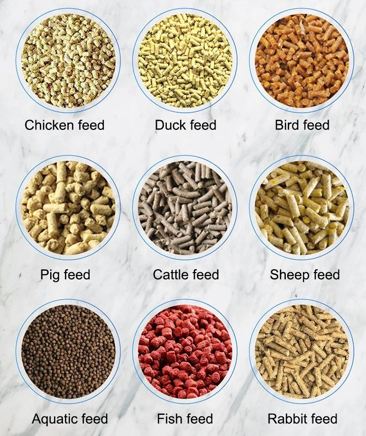 Finished Product Display