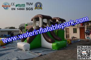 China Indoor and Outdoor Inflatable Bouncy Castle with Slide factory