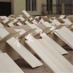 Paulownia Sawn Timber for Furniture Accessories Building Board Plank Wood