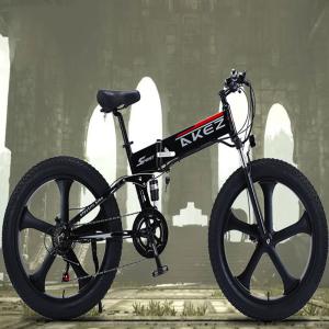 China 40km/H Lithium Battery Electric Bike Soft Tail Frame factory