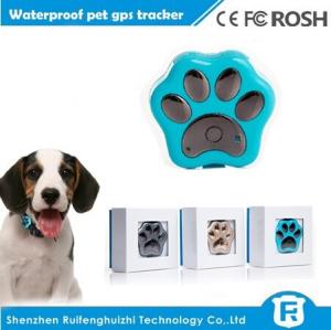China 2016 wholesales smallest pet tracker gps gsm tracker rf-v30 factory