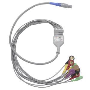 China Biomedical Instruments 10 leads Holter ECG Cable and Leadwires factory