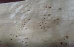 Natural Burl Furniture Wood Veneer Poplar With AA / A / AB Grade